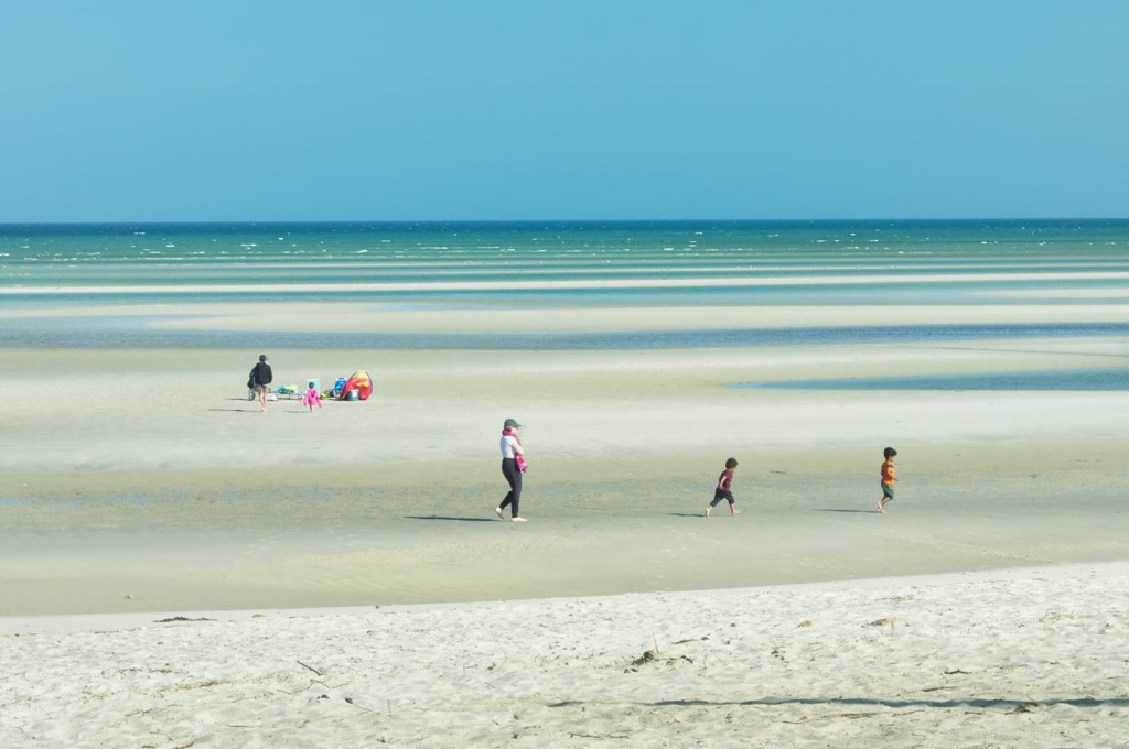 Cape Cod Memorial Day activities 