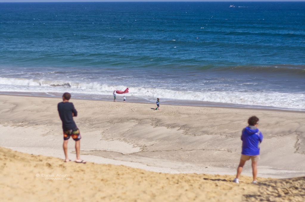 Cape Cod coronavirus 