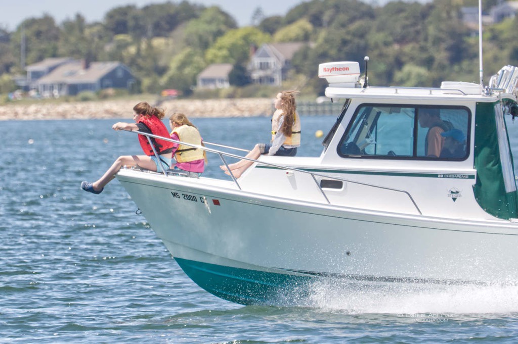 What to do in Cape Cod today 